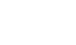 Virtual Wild logo